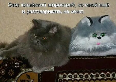 Я тебе еще раз говорю