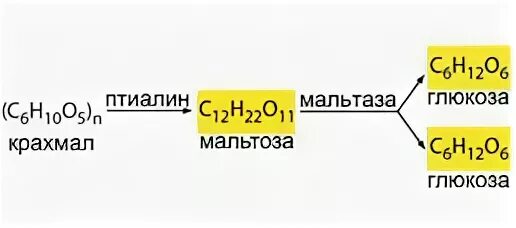 Крахмал начинает расщепляться в ротовой полости. Птиалин и мальтаза ферменты. Фермент птиалин /амилаза/ действует гидролитически на. Птиалин амилаза расщепляется ферментами. Птиалин мальтаза расщепляет крахмал.