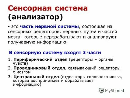 Параметры анализаторов