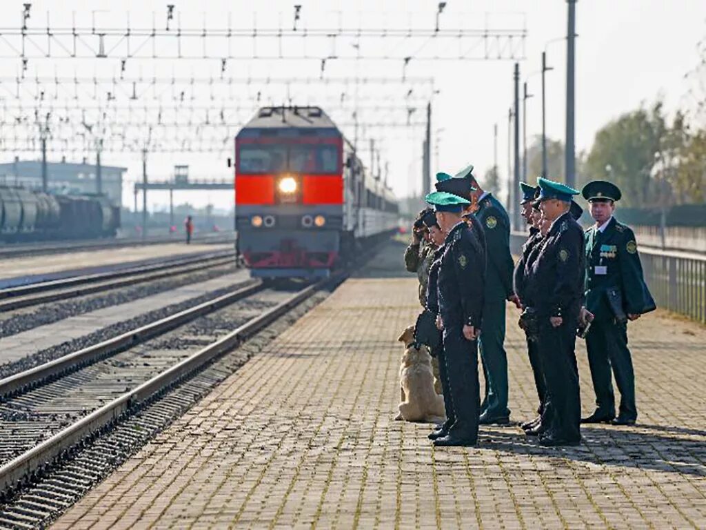 Поезд остановился через. ЖД пункт пропуска пограничный. Пограничная станция Забайкальск. ЖД таможня. Таможенный контроль поездов.