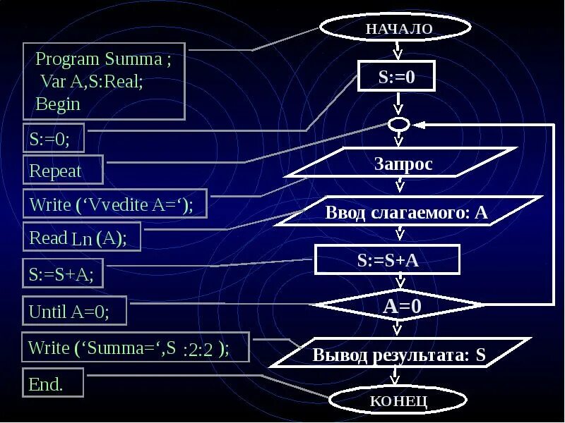 Program n 8 8 класс. Цикл repeat. Программа Summa. Информатика что такое program Summa. Информатика тема с repeat.