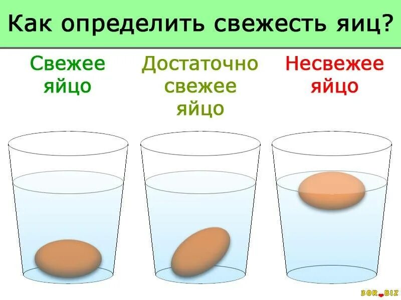 Как определить свежесть утиных яиц. Как проверить яйца на свежесть в воде. Свежесть яиц в воде проверить. Как узнать свежесть куриного яйца.