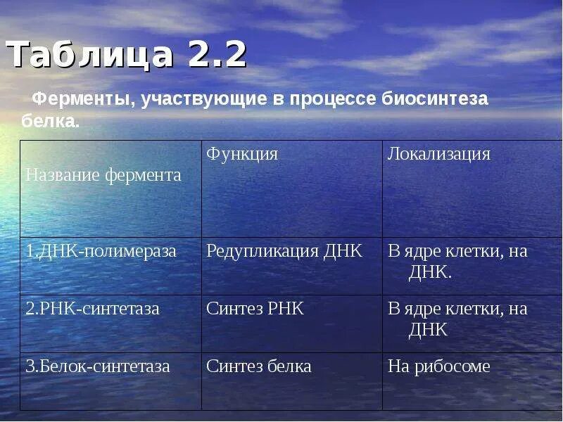 Белки ферменты синтезируются в. Ферменты участвующие в процессе биосинтеза белка. Ферменты биосинтеза белка. Ферменты учавствующ е в биосинтезе белка. Синтез белка таблица.