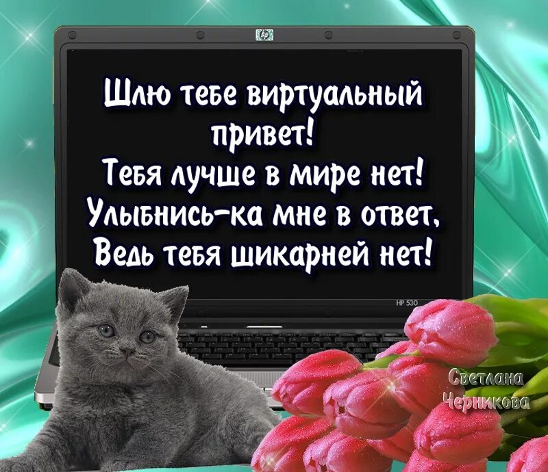 Www привет com. Стих привет. Привет друзьям в стихах. Приветствие виртуальному другу. Привет цитаты.