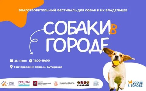 Фестиваль собак