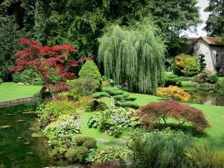 Hermoso jardín con árboles y flores Living at home