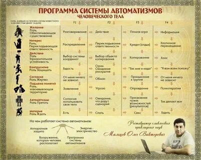 Таблица автоматизмов