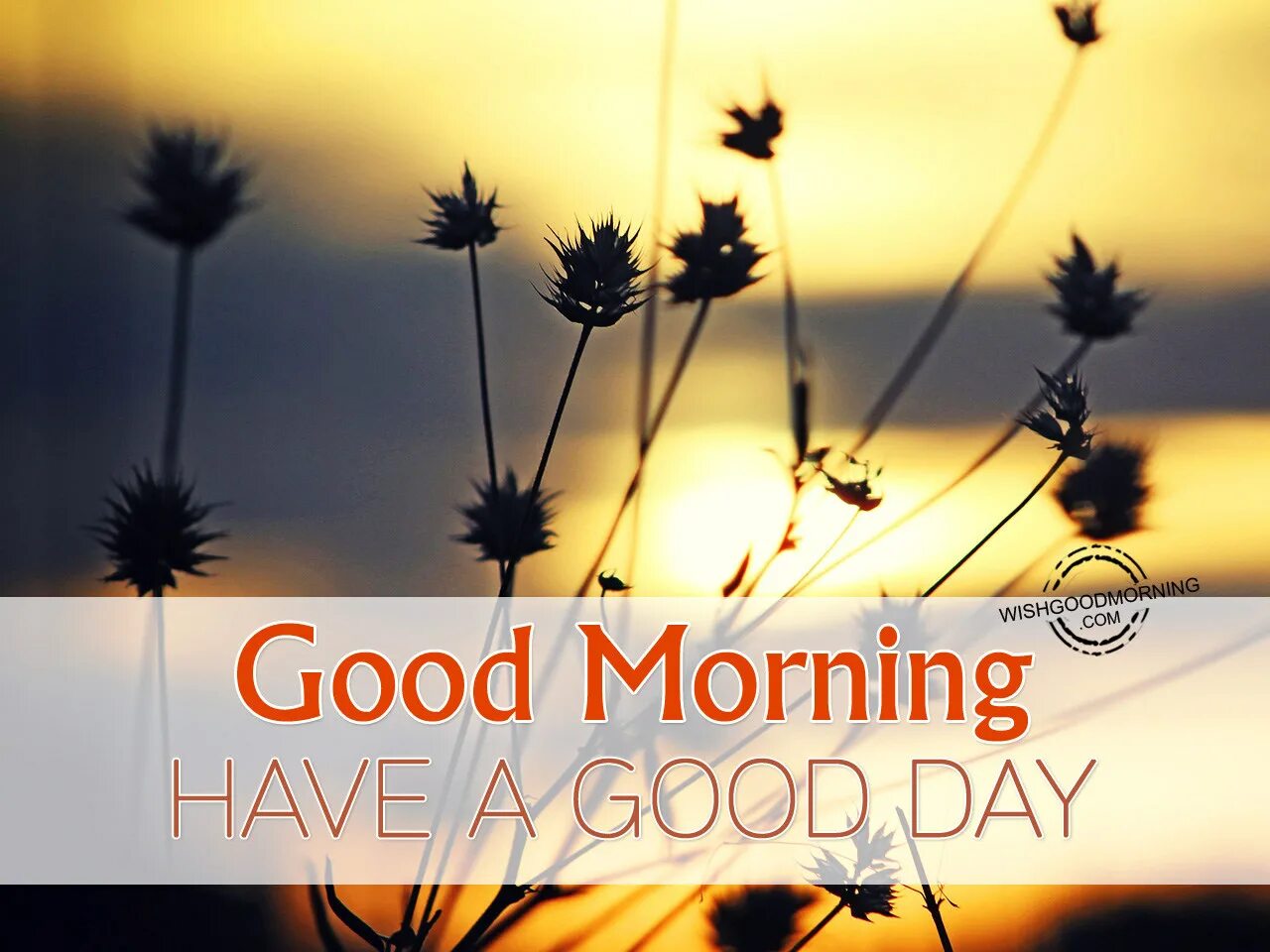 Make this day good. Good Day. Good Day картинки. Good morning have a good Day. Good morning have a nice Day картинки.