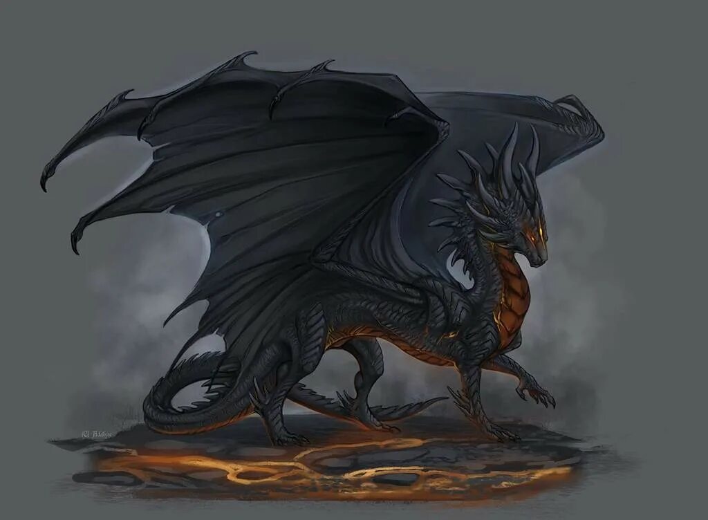 мелеис дракон. гебридский чёрный дракон. драконы темного цвета. гебридианский черный дракон. драконы ночи.