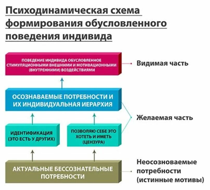 Функция организации поведения. Поведение индивида в организации. Схема формирования поведения. Процесс формирования поведения. Механизмы формирования поведения.