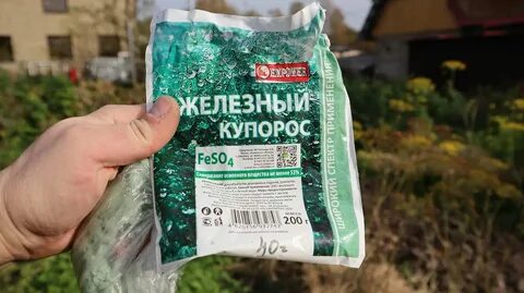 Обработка хвойных железным купоросом