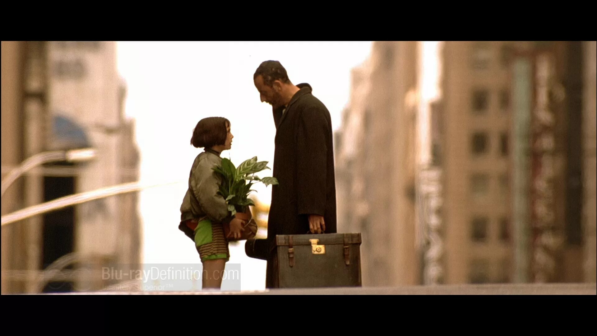 Бк леон. Леон бс. Leon букмекерская контора. Мобильное приложение леонбетс. Бк леон.