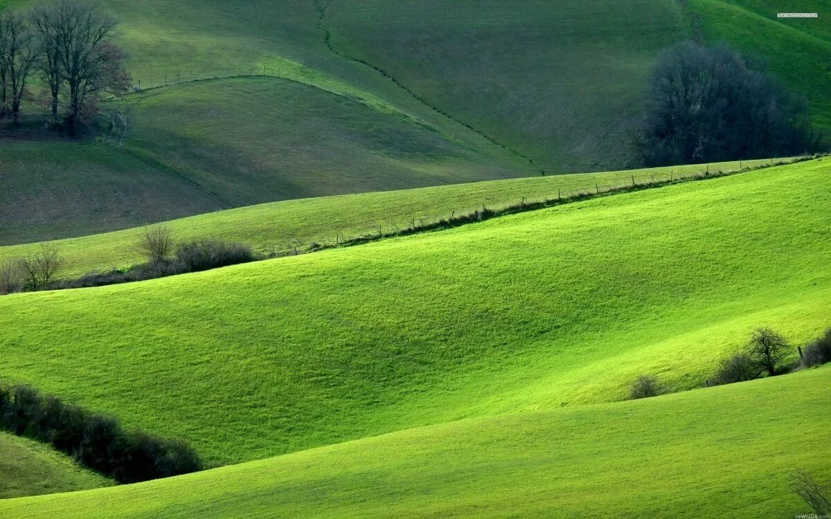 Green Hills зеленые холмы Ирландии. Зеленые холмы 212525. Зелёные холмы (Inverness Green). Зеленые холмы Алтай. Летом было все зеленым