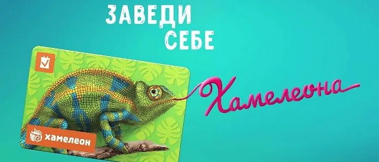 Белмаркет хамелеон