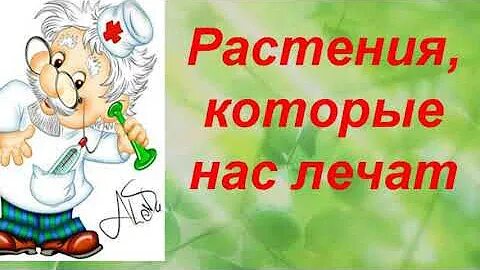 Какие растения лечат человека