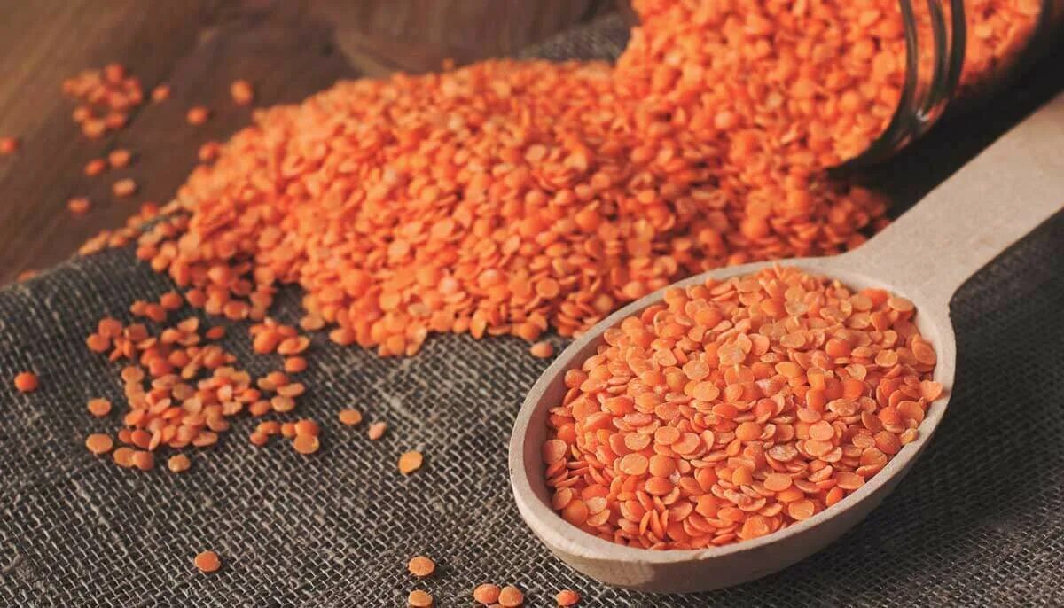 Красная чечевица белки