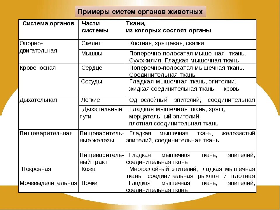 Биология 7 класс функций. Органы и системы органов животных 7 класс биология. системы органов животных 5 класс биология таблица. таблица система органов органы функции. таблица системы органов системы органов строение и функции.