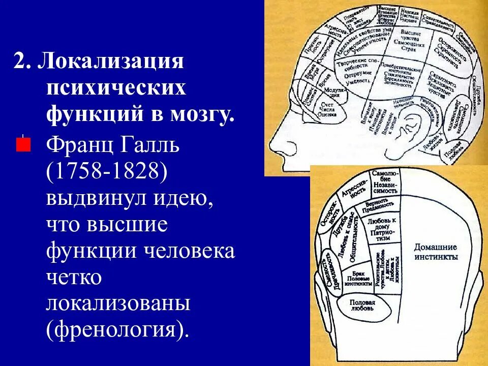 Френология Франца Галля. Локализация психических функций. Локализация высших психических функций. Локализация высших психических функций схема. Локализация психических функций в мозге