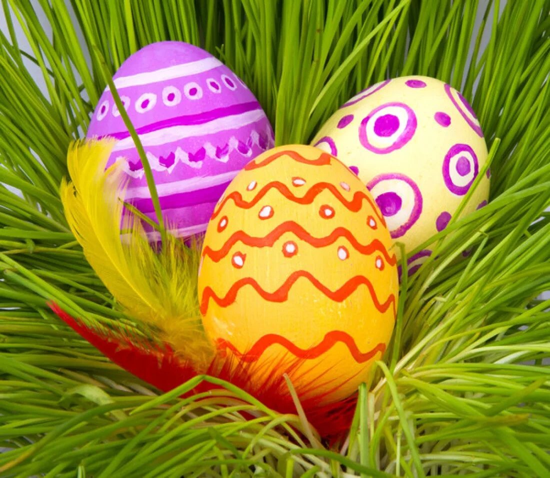Android r easter egg