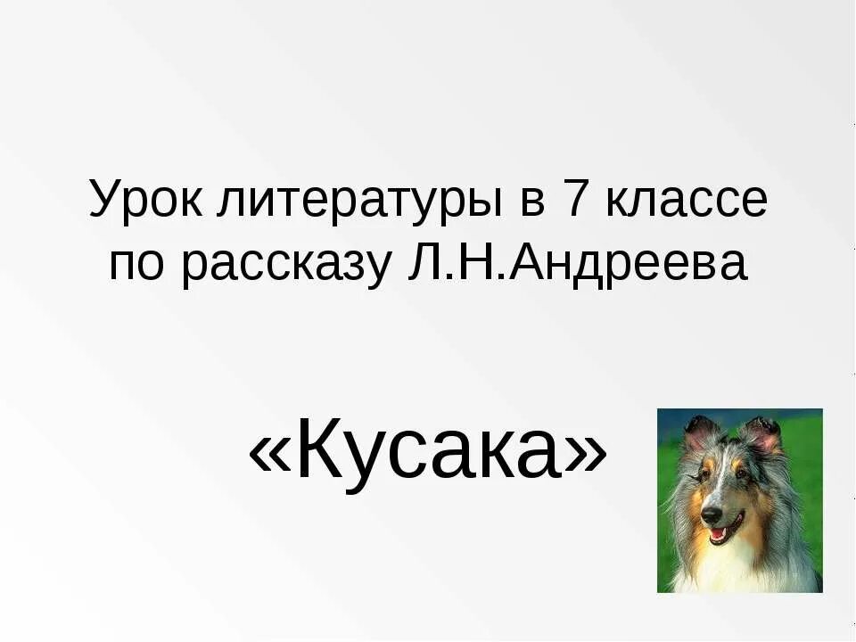 Урок кусака андреев 7. Урок по Андрееву кусака 7 класс. Урок по по теме кусака Андреева. Открытый урок по литературе кусака. Кусака урок 5 класс презентация.