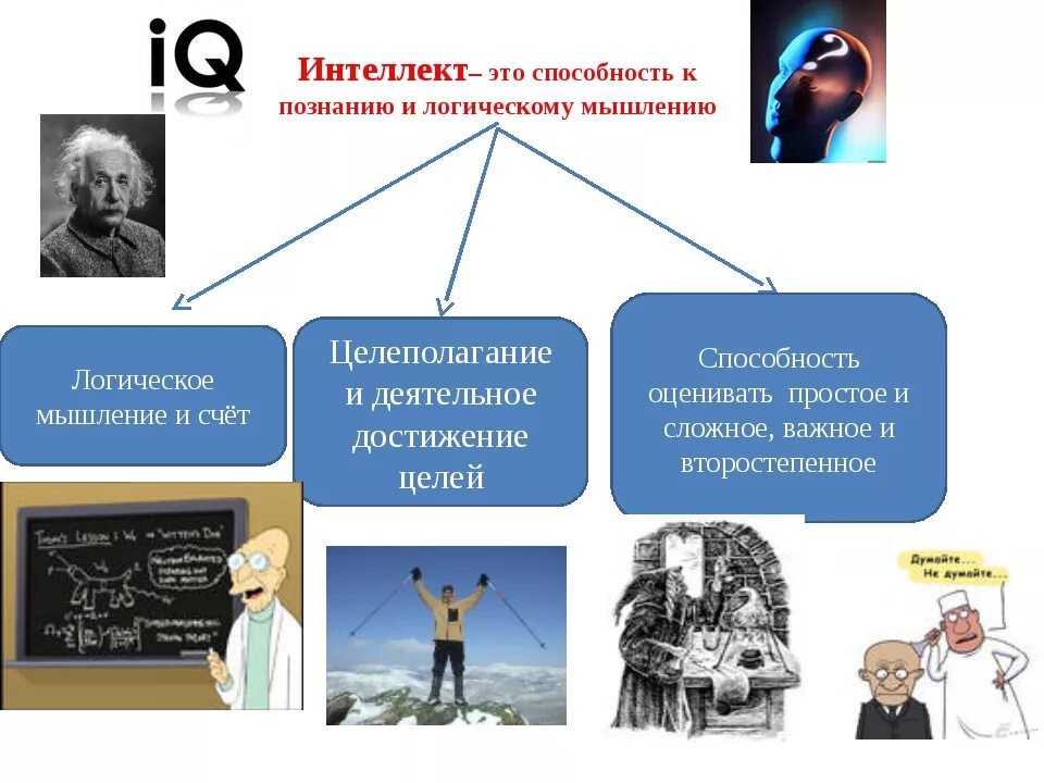 Ум это определение. Интеллект. интеллект это в психологии определение. интеллект человека. интеллект презентация.
