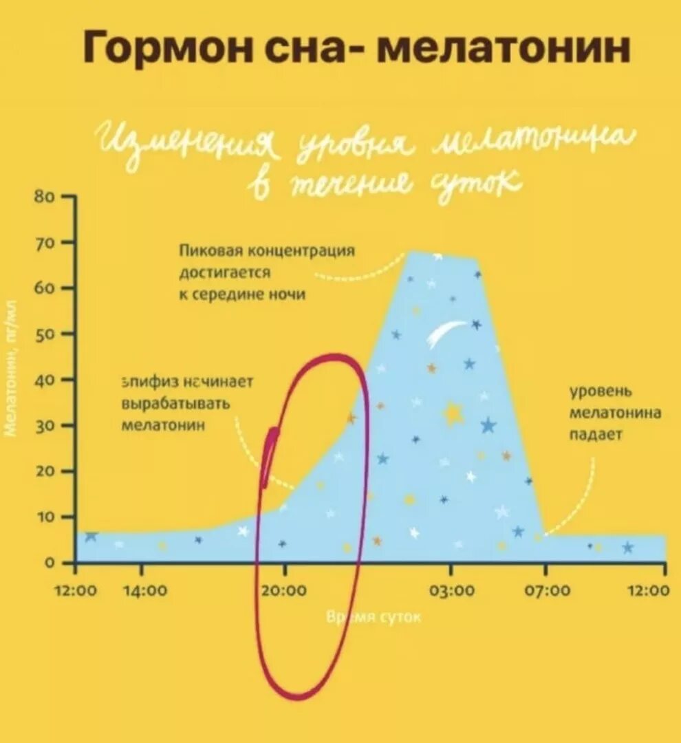 Сколько надо выработать. Гормоны при сне. Гормоны которые вырабатываются во сне. Мелатонин гормон сна. Выработка мелатонина.