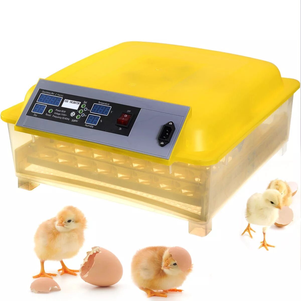 Купить инкубаторы кур. Инкубатор Egg incubator. Инкубатор "птичка 100ц". Инкубатор для яиц автоматический на 50 яиц. Инубатор hgg56.