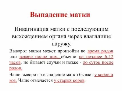 Почему матка внизу