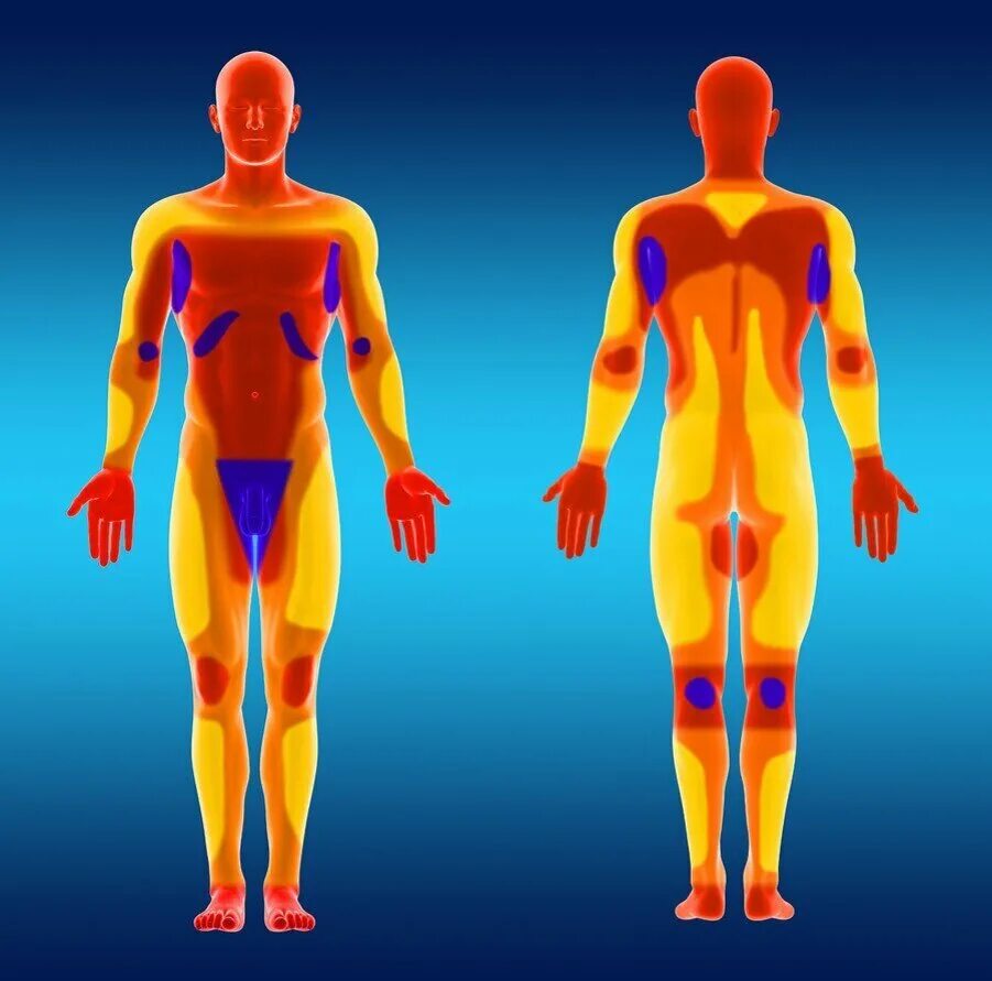 Больные места у человека. Зоны болезненности тату. Чувствительные места для татуировок. Карта боли. Зоны боли.