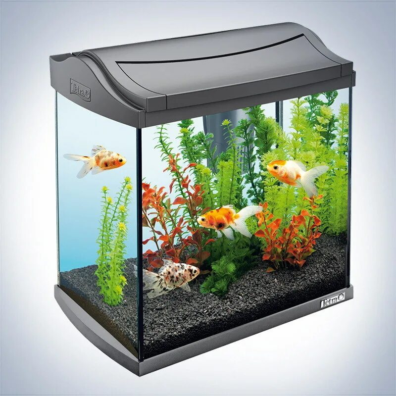 Аквариумы л. Аквариум Tetra AQUAART 20л. Аквариум Tetra AQUAART 30л. Аквариум Tetra AQUAART led Goldfish. Tetra AQUAART 30.