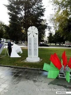 Васильки могилев