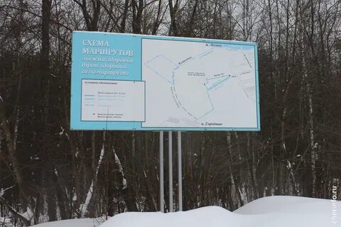 Тропа здоровья череповец зашекснинский