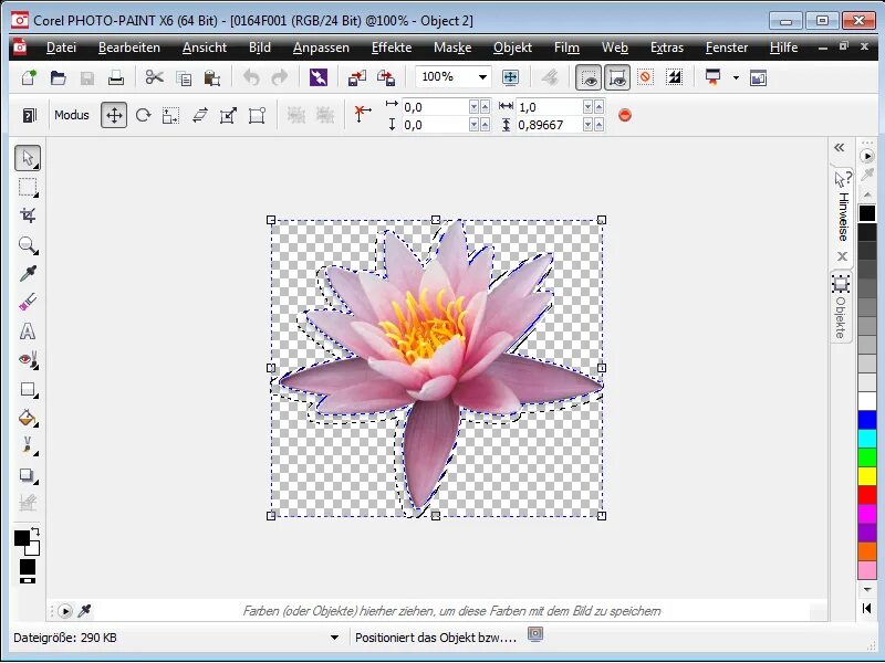 Coreldraw какая программа. Coreldraw x6. сложные работы в coreldraw. лепестки для coreldraw. редактирование фотографий coreldraw.
