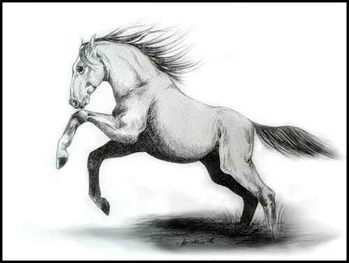 Лошадь рисунок. Хорошее отношение к лошадям рисунок. Рисунок к стихотворению хорошее отношение к лошадям. Упавшая лошадь рисунок. О чем произведение хорошее отношение к лошадям