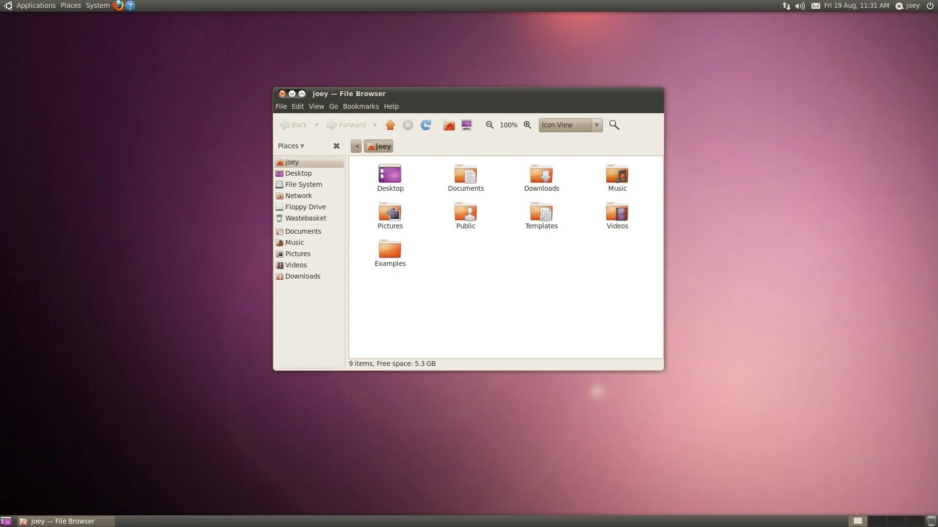Ubuntu linux 10. Убунту 4.10. убунту 10.10. ubuntu 10.04.4. linux ubuntu 10.