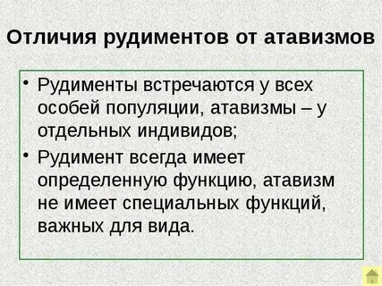 Рудименты и атавизмы
