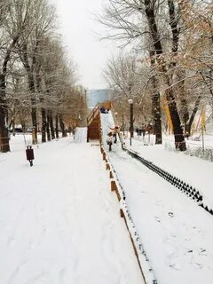 Дон горки
