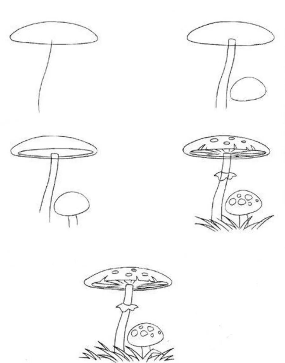 Грибы поэтапно. Поэтапное рисование гриба. Как нарисовать мухомор. Мухомор рисунок карандашом. Нарисовать мухомор карандашом поэтапно для детей.