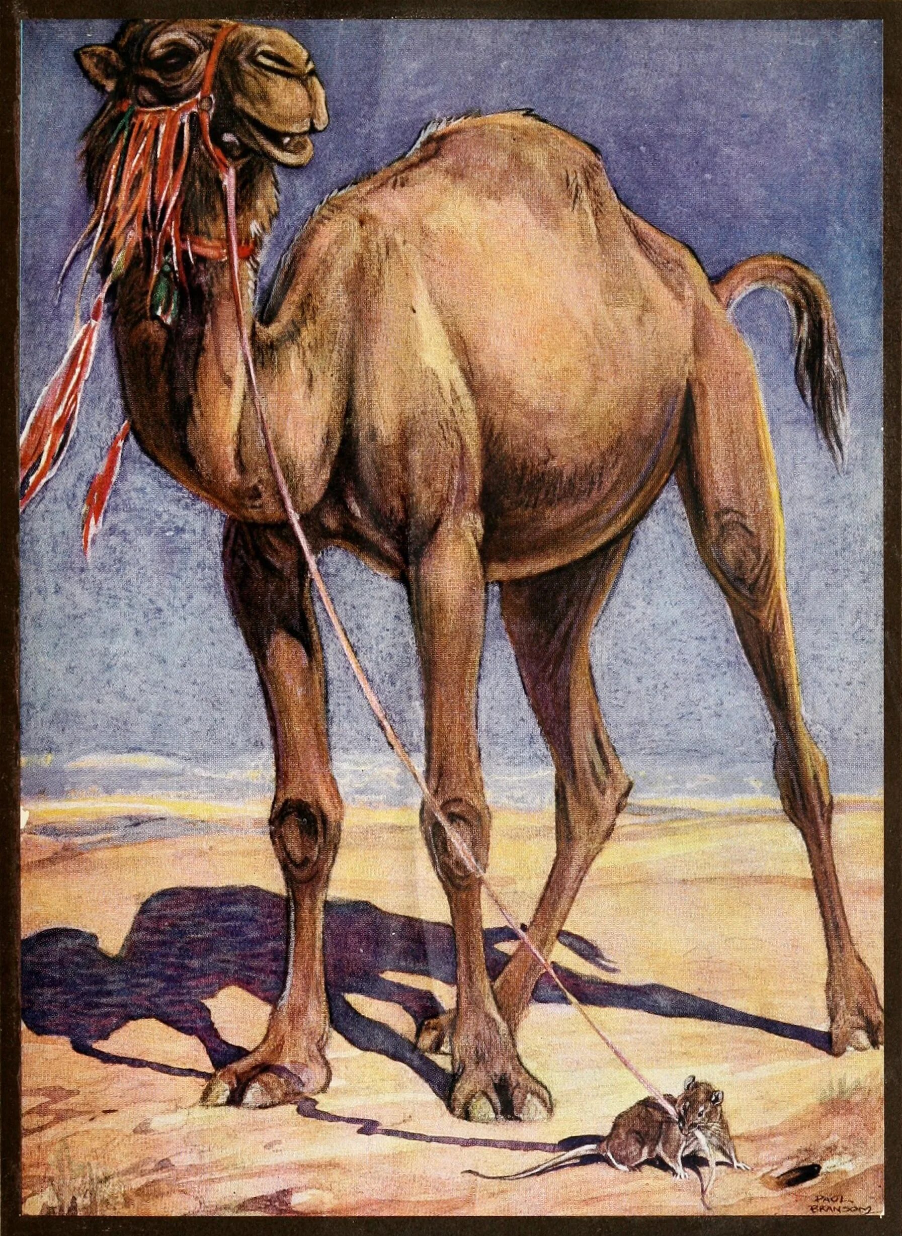 Обезьянка и верблюд. Басня эзопа верблюд. Басня эзопа бесхвостая лисица. Басня верблюд. Басня эзопа верблюд.