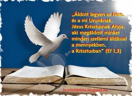 Белый голубь книга