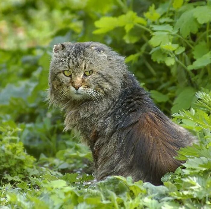 жаль не понял ты. мне уже много поздно. мне уже много поздно. мне уже много поздно. фразы про чувство вины.
