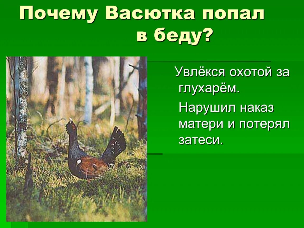 Глухарь из Васюткино озеро. Васюткино озеро Глухарь Таежная птица. Васюткино озеро иллюстрации с глухарём. Васюткино озеро. Какой зверь приближался к васютке