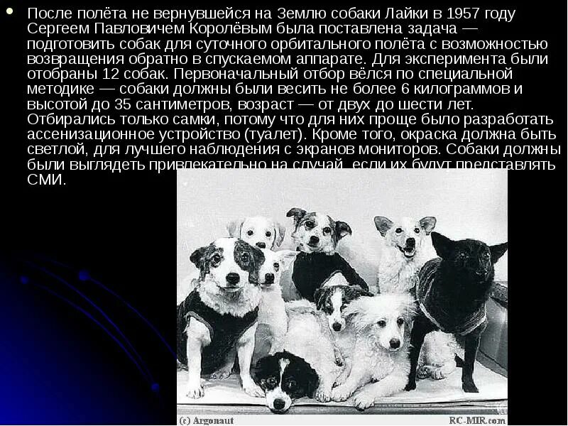 Полет белки и стрелки в каком году. История полета белки и стрелки. белка и стрелка первые собаки в космосе.