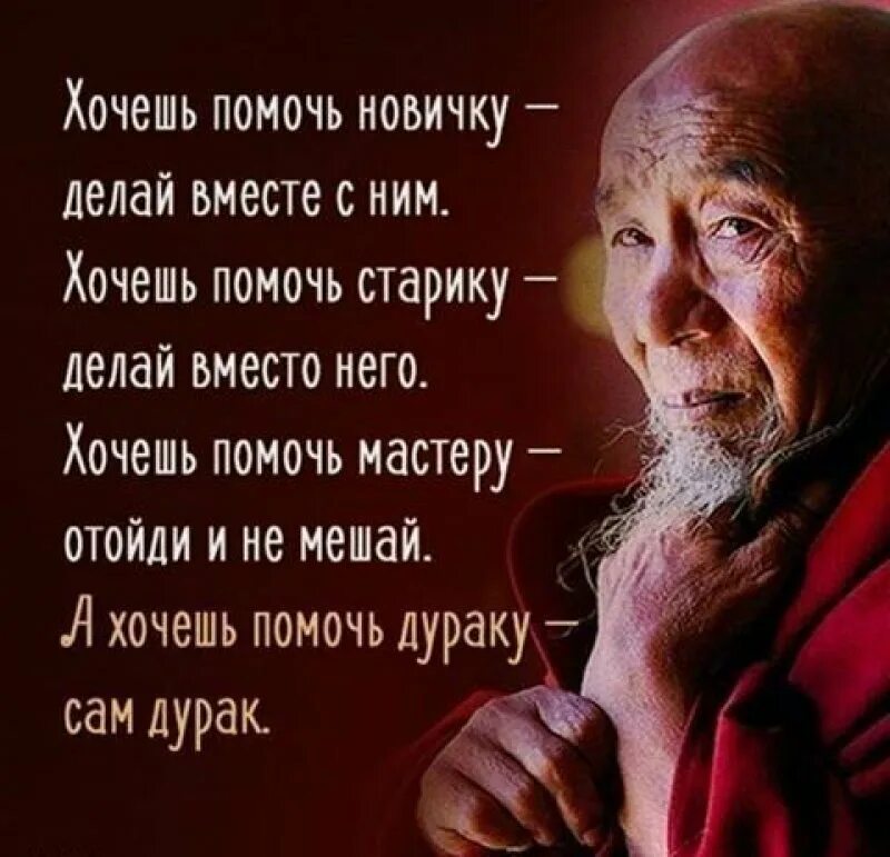 Умные афоризмы про. Мудрые цитаты. мудрые афоризмы. афоризмы о жизни и жизненных ценностях. мудрость жизни.