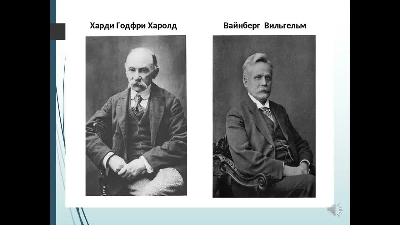 Харди математика. Харди Вайнберга. Вайнберг биолог. Г Харди и в Вайнберг.