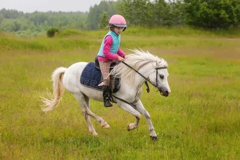 Люди которые катаются на лошадях