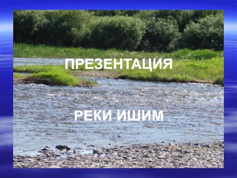 Где начало реки ишим. Река для презентации. Река Ишим. Растения и животные реки Ишим. Доклад о реке Ишим.