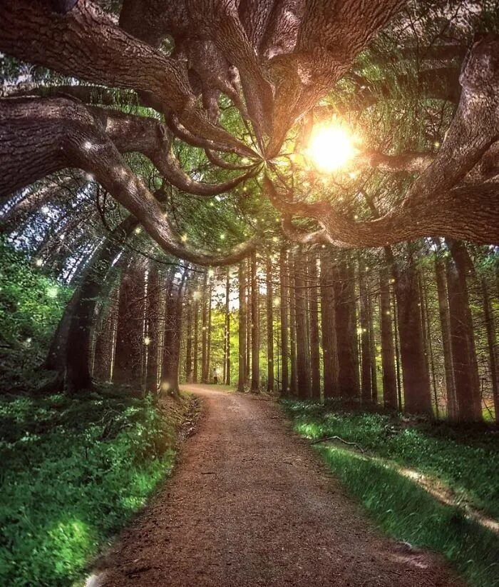 Сказочные места природы. Красивая природа. Cumberland. Водопад камберленд. Пейзаж.