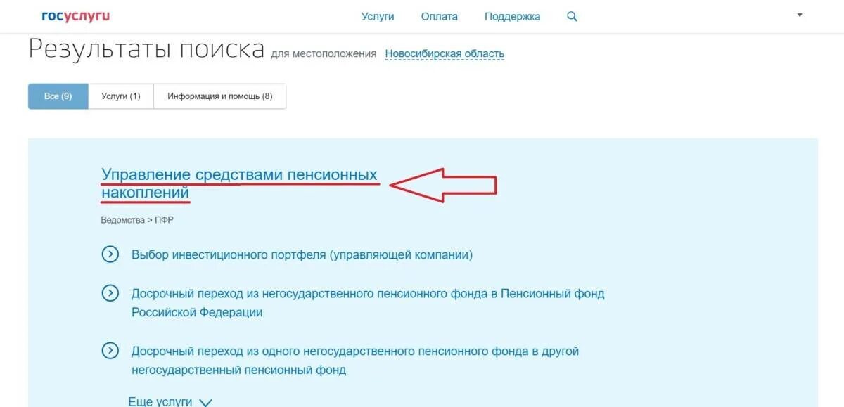 Выплата средств пенсионных накоплений госуслуги. Пенсия через госуслуги. Госуслуги пенсионный фонд. Пенсионные накопления в госуслугах. Как в гос услугах найти негасударственую пенсию.