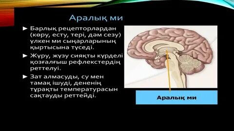 Порно қара сызғыш онлайн